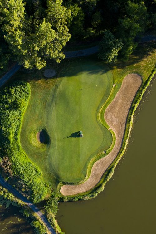 aerial view of green trees beside river during daytime